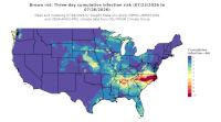 thumbs/BROT_Cum_Inf_Risk_3day_20260726.t.jpg