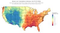 thumbs/BROT_Cum_Inf_Risk_Total_20260727.t.jpg