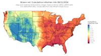 thumbs/BROT_Cum_Inf_Risk_Total_20260921.t.jpg