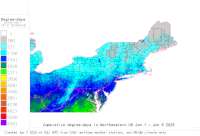 Northeastern base 41 degree-days to date